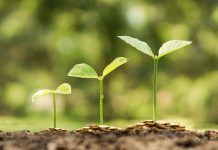 Un año para cambiar el futuro: sostenibilidad y comercio justo Un año para cambiar el futuro: sostenibilidad y comercio justo