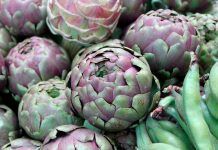 How the Farm to Fork strategy and Organic Action Plans can contribute to transforming food and farming