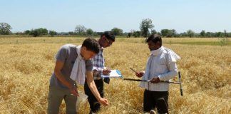 Organic Agriculture is a sustainable alternative for developing economies
