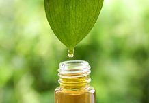 Tinturas y aceites esenciales: aprovechar el potencial de las plantas medicinales Tinturas y aceites esenciales: aprovechar el potencial de las plantas