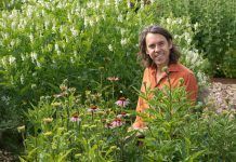Sebastian Pole (Pukka Herbs): “Being ‘Pukka’ was our aspiration”