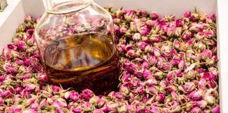 BIOFACH / VIVANESS 2021 eSPECIAL: Natural and organic cosmetics market and consumers are seeing big changes BIOFACH / VIVANESS 2021 eSPECIAL: Natural and organic cosmetics market and consumers are seeing big changes