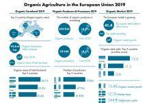 European organic market grew to 45 billion € in 2019