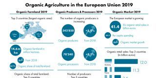 European organic market grew to 45 billion € in 2019