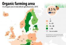 La superficie ecológica representa el 8,5% del total de la superficie agrícola de la UE La superficie ecológica representa el 8,5% del total de la superficie agrícola de la UE