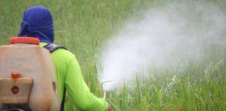 Scientific study shows synthetic pesticides significantly more dangerous than natural ones