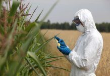 Sociedad civil, agricultores y organizaciones empresariales piden no desregular los OMG GM free