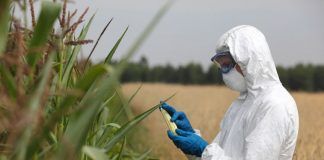 Civil society, farmers and business organizations say it clear to the EU: don’t deregulate GMOs GM free