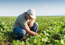 FiBL presents a new dossier on organic production and good practices organic farming
