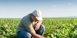 FiBL presents a new dossier on organic production and good practices organic farming