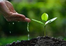 Biogran renueva su web para alinearla con una alimentación para la biodiversidad