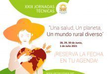 Las Jornadas Técnicas SEAE se celebrarán del 28 de junio al 1 de julio