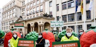 No Patents on Seeds! – Prohibition on patenting conventional breeding is being circumvented