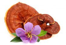 Aliments per a protegir-nos i enfortir les defenses