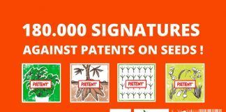 Politicians and the EPO must take responsibility