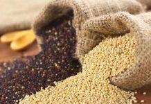 Quinoa Ecològica: mercat en creixement constant a escala mundial quinoa seeds