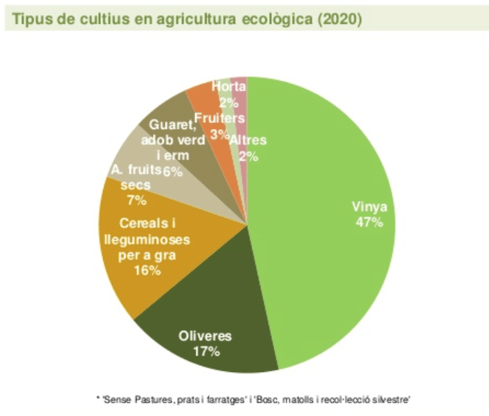 CCPAE – Cultius