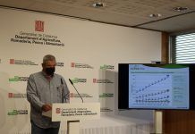 El sector ecològic creix un 15,83% a Catalunya i factura 808 milions d’euros
