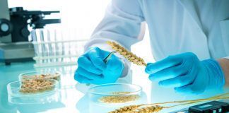 Deregulating New Genomic Techniques: Organic movement raises red flag Deregulating New Genomic Techniques: Organic movement raises red flag