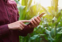 The future of organic audits and inspections: digital or not? The future of organic audits and inspections: digital or not?
