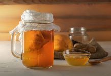 Kombucha ecològica: la beguda del moment kombucha ecológica