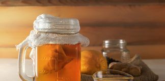 Organic Kombucha: the trendy probiotic drink kombucha ecológica