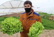 Gumendi: essència i eficiència en producte fresc ecològic – pilar per al creixement del sector Los frescos de Gumendi comparten espacio con su gran oferta de productos elaborados