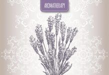 Hidrolats aromàtics: autèntics i concentrats Hidrolatos aromáticos: auténticos y concentrados