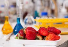 Pesticides en els aliments Pesticidas en los alimentos