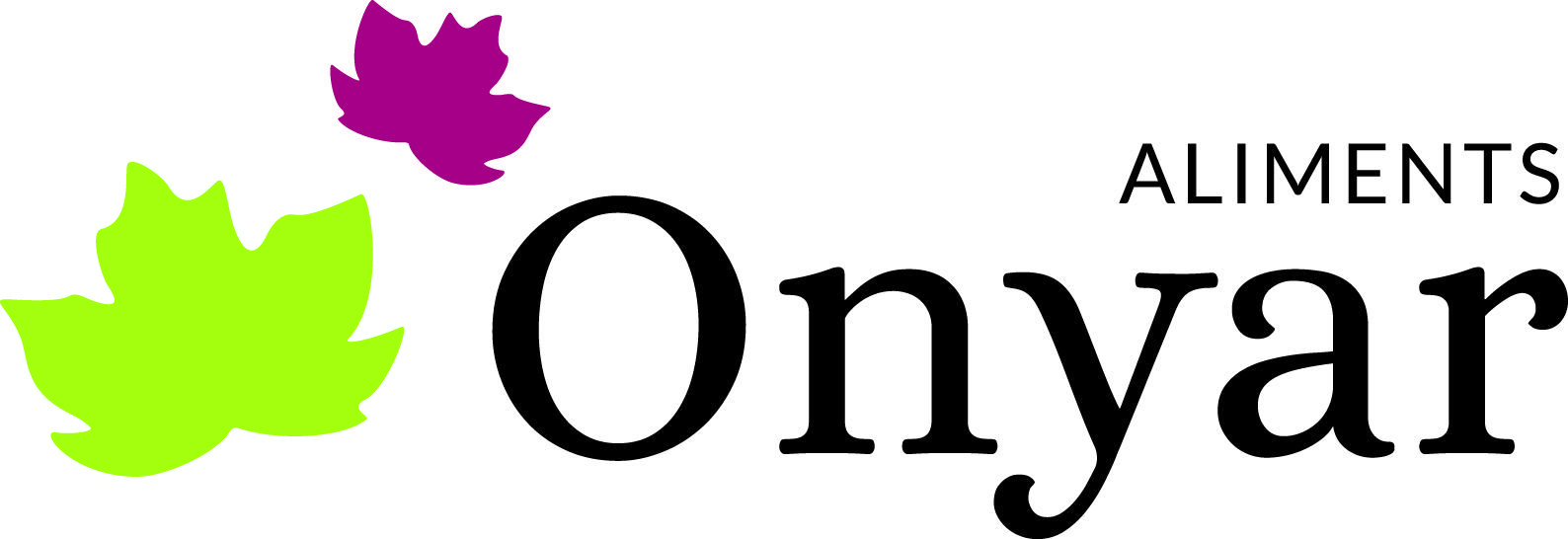 a_onyar_logo
