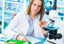 Els fongs: un laboratori medicinal enterrat sota terra