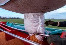 Objectiu 2035. Quan tindrem llavors ecològiques per a l’agricultura ecològica?