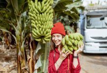 5 aliments que ens fan feliços 5 alimentos que nos hacen felices