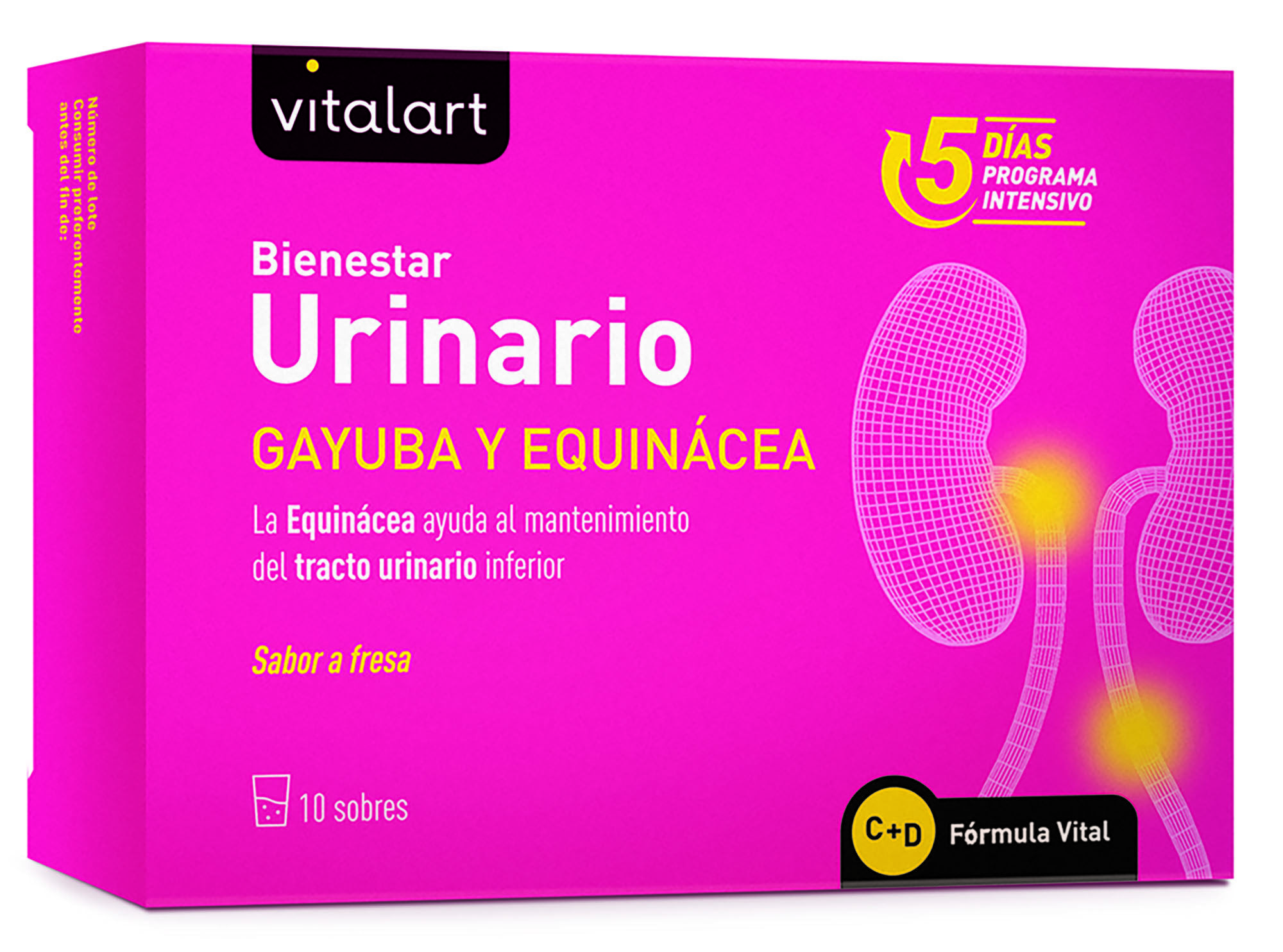 Vitalart Urinario Vital07 2