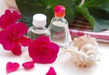 Aceites esenciales para protegernos de los mosquitos Aceites esenciales para protegernos de los mosquitos