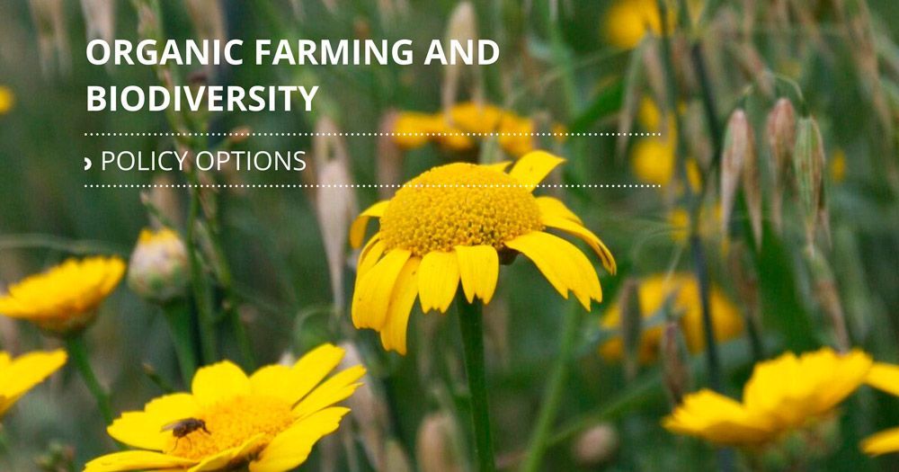 benefits-of-organic-farming