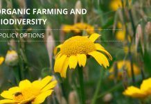 New report highlights benefits of organic farming form biodiversity
