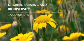 New report highlights benefits of organic farming form biodiversity