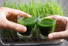 Hierba de trigo: la forma más sencilla de añadir nutrición a tus zumos verdes Hierba de Trigo