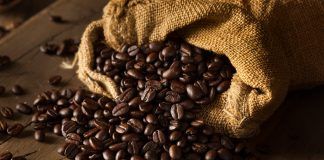 Organic coffee: sustainability and ethics in each cup café ecológico