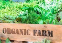 20è aniversari d’IFOAM Organics Europe: fer balanç i mirar endavant