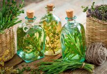 Los vinagres medicinales, elixires ancestrales Los vinagres medicinales, elixires ancestrales