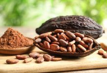 Cacau ecològic i de Comerç Just: una alternativa conscient que guanya popularitat cacao ecológico