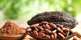 Organic and fairtrade cocoa, a conscious alternative and a expanding market cacao ecológico