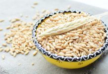 Avena Sativa: el gra més saludable del món