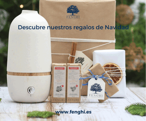 Fenghi banner home