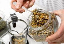 Cómo preparar una infusión y una decocción de plantas medicinales infusión y decocción