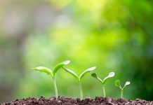 How to make organic plant breeding mainstream How to make organic plant breeding mainstream