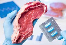 Què menjaràs de segon? – Antibiòtics ¿Qué comerás de segundo? – Antibióticos