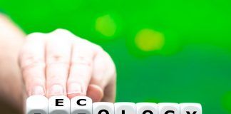 Bavo van den Idsert: “We need a fast move to true cost accounting and true pricing” Bavo van den Idsert